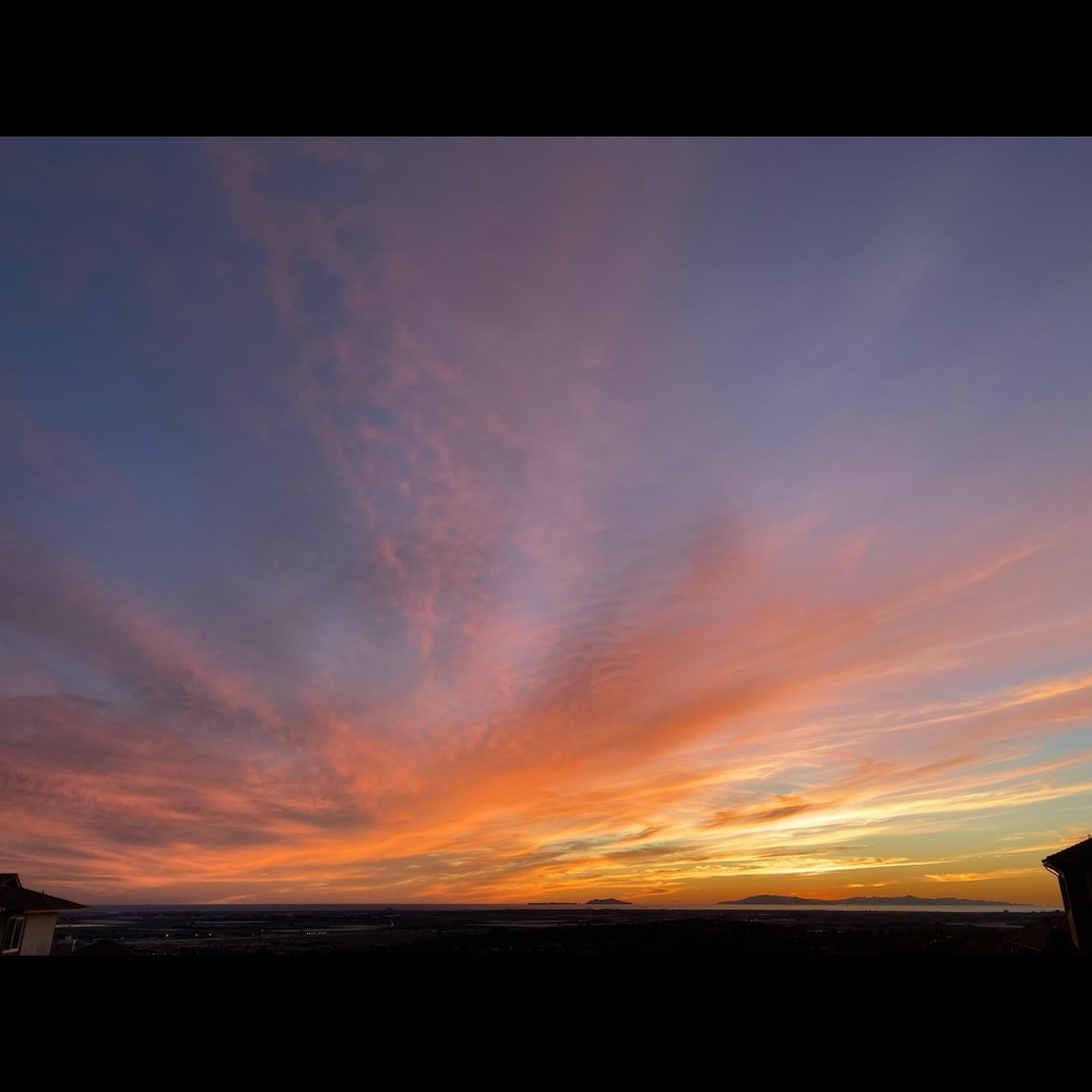 Meet your Posher, Shayla